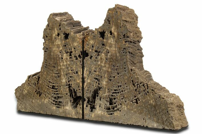 Sparkling Petrified Wood Bookends #344127